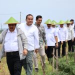 Bupati Arief Gandeng Dua Menteri Panen Cabai di Bangsri Jepon, Blora Siap Perkuat Ketahanan Pangan Nasional