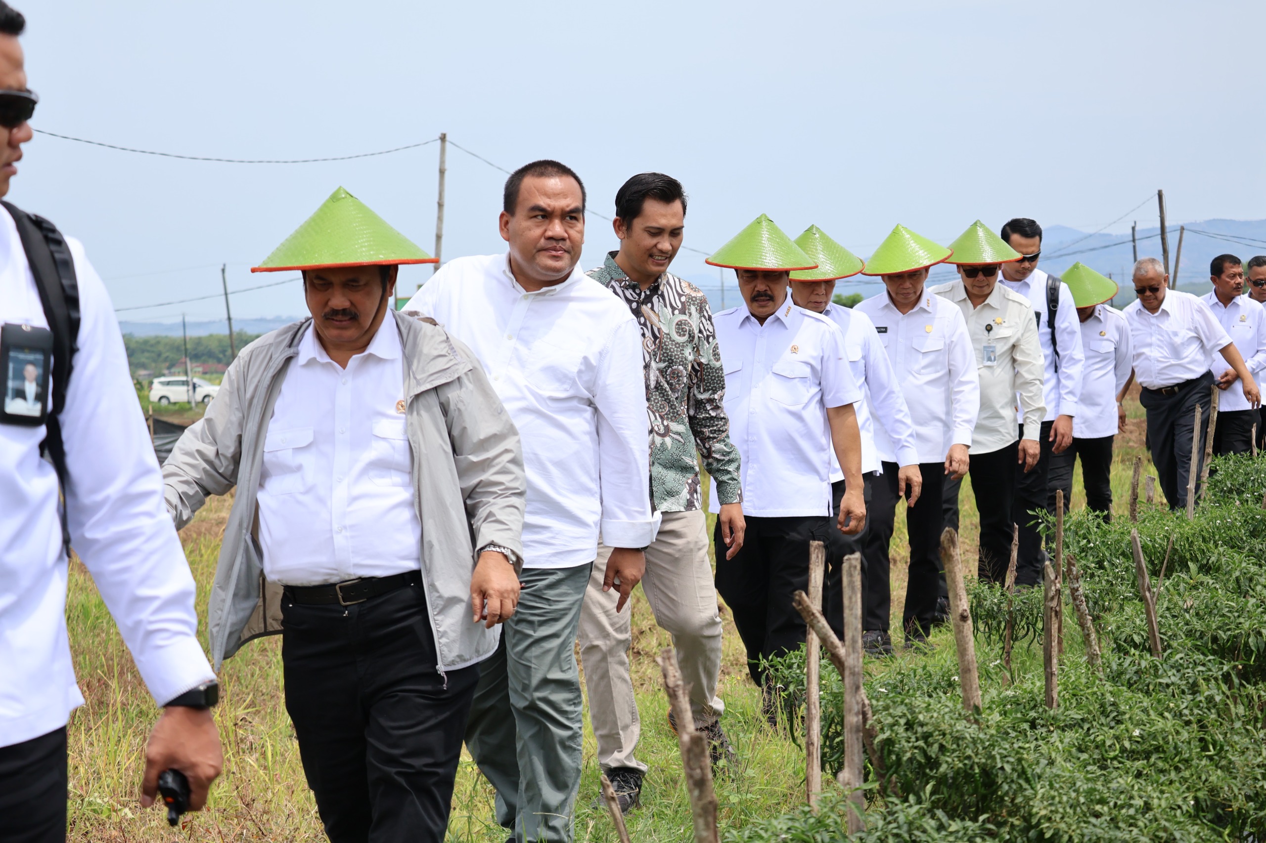 Bupati Arief Gandeng Dua Menteri Panen Cabai di Bangsri Jepon, Blora Siap Perkuat Ketahanan Pangan Nasional